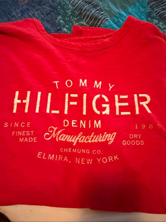 Tommy Hilfiger Other - Tommy Hilfiger Red Short Sleeve Logo Tee for Kids